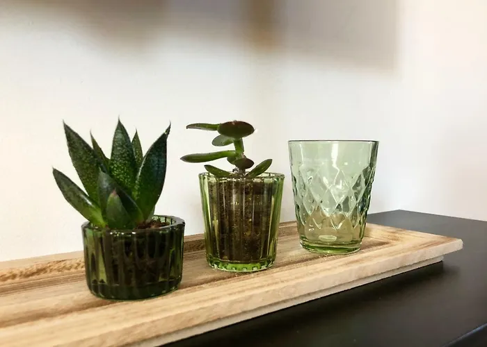 Apartment Casalea - Casadibastia - Centre