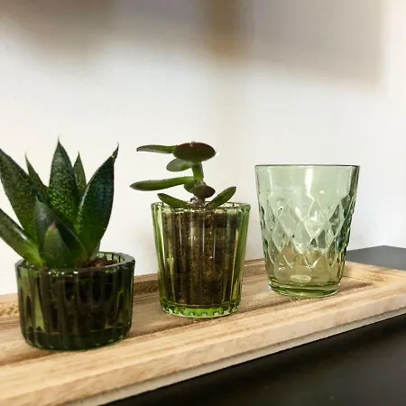 Lägenhet Casalea - Casadibastia - Centre