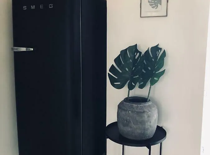 Appartement Casalea - Casadibastia - Centre *