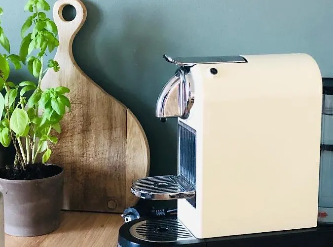 Casalea - Casadibastia - Centre * Bastia (Corsica)